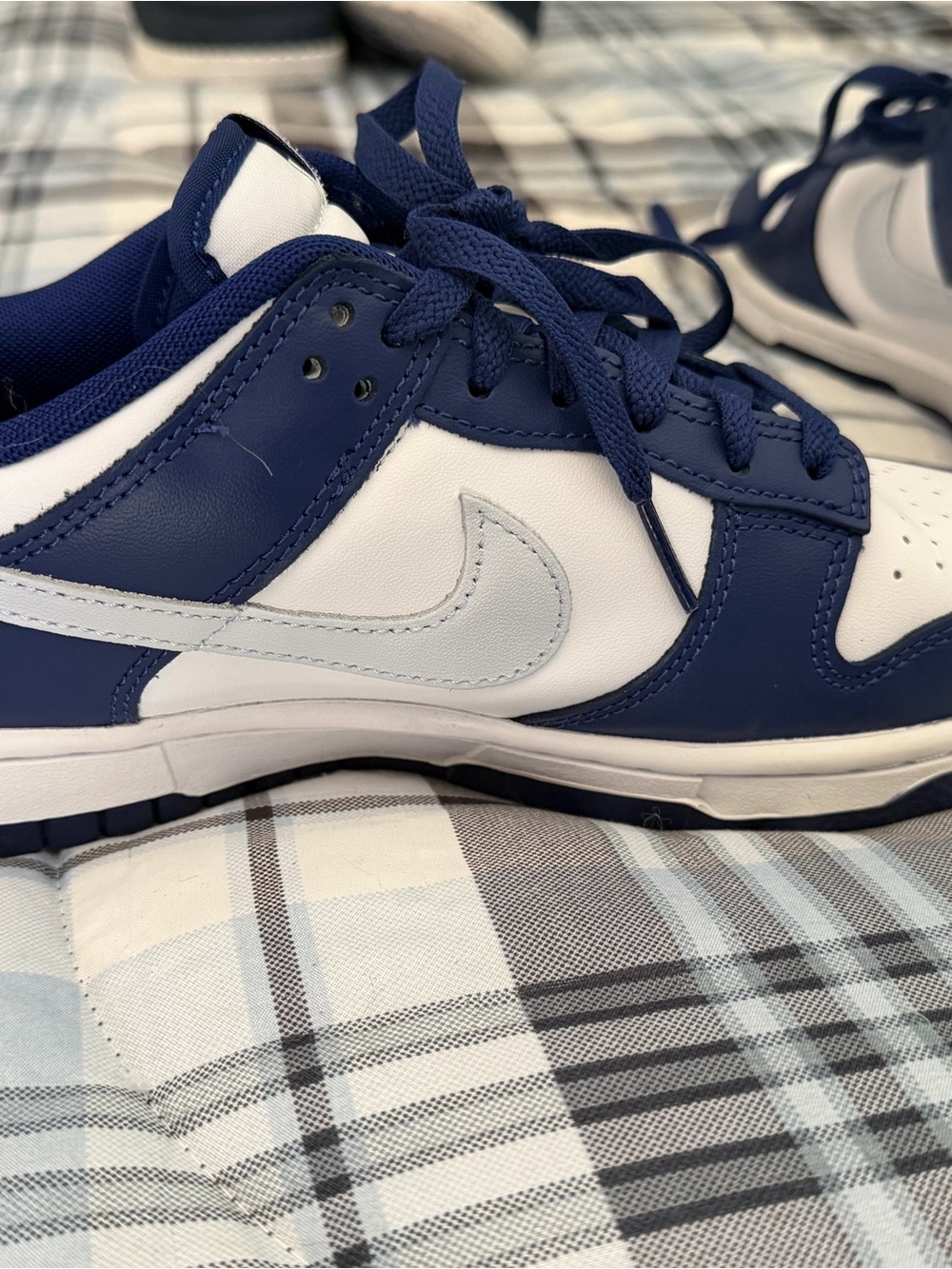 Nike Mens Dunk Low-Top Sneakers - Navy Blue and White